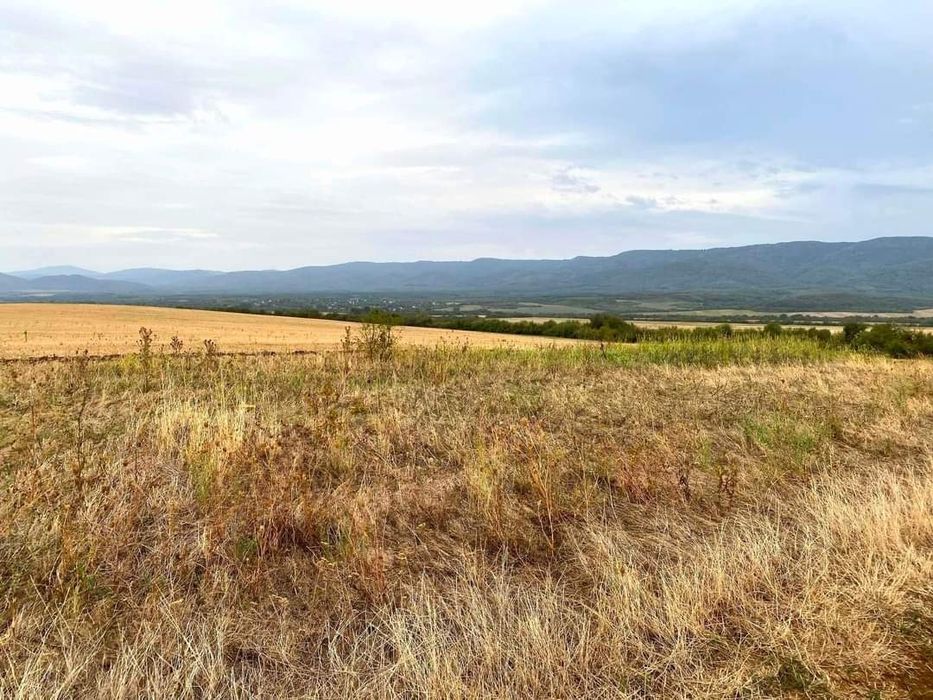 Продава се Парцел в с. Церова кория, Област Велико Търново - 800 кв.м за 12 €/кв.м - Снимка #2