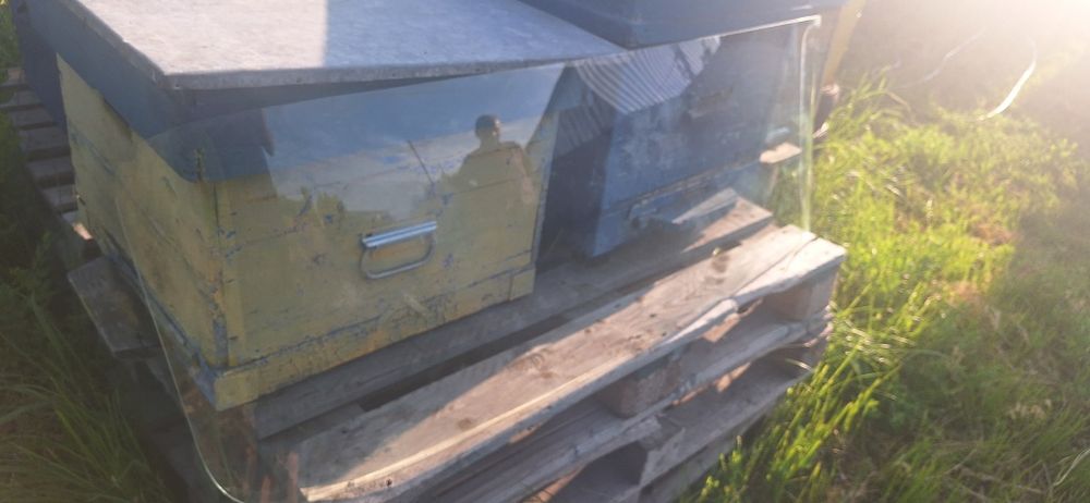 Лобовое стекло газ 53