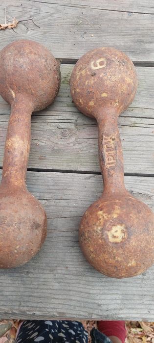 Гантели цельнолитые