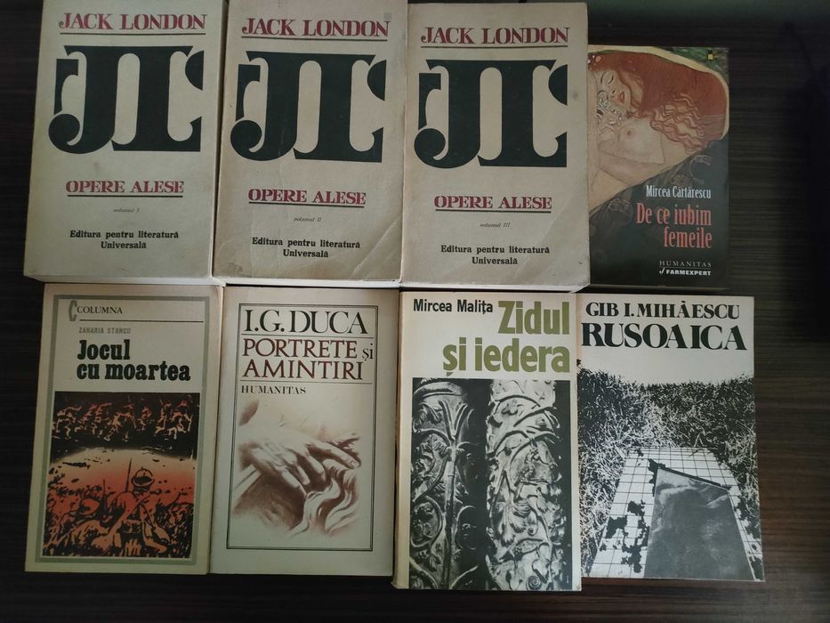 Lot de cărți + discuri vinil