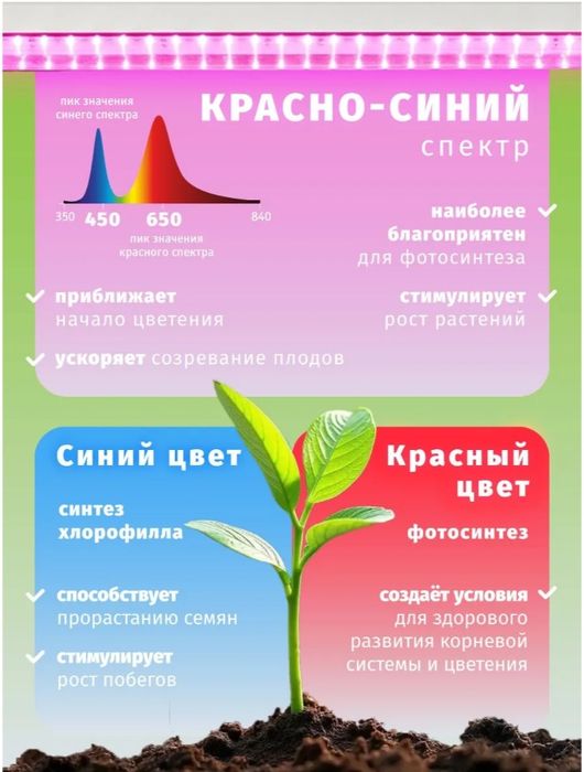 Фитолампа линейная для растений 10 Вт красно-синего спектра NAVIGATOR