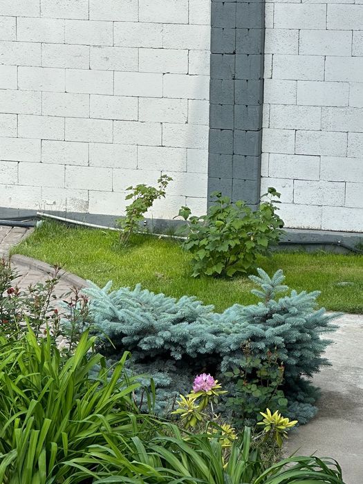 Услуги Садовника