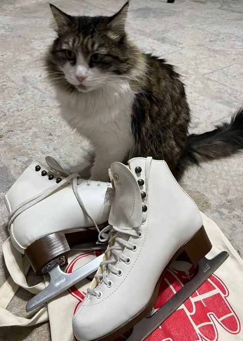 Коньки, производство Чехия