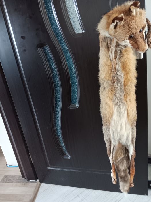 Яка от естествена лисица