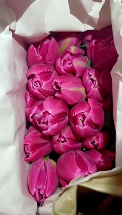 Опт и Розница, тюльпаны, корзина  фруктов, клубника в шоколаде