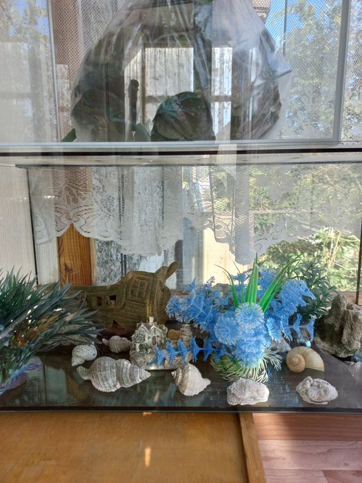 Продам 2 аквариума + мн другое