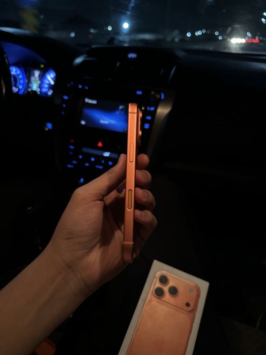 iPhone 17 pro / 256 GB / 100% / e sim