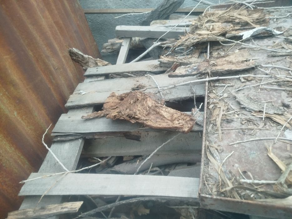 Продам дрова на баню (отдам даром)