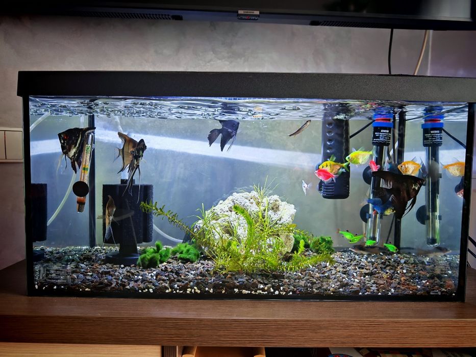 Vând acvariu 55 litri