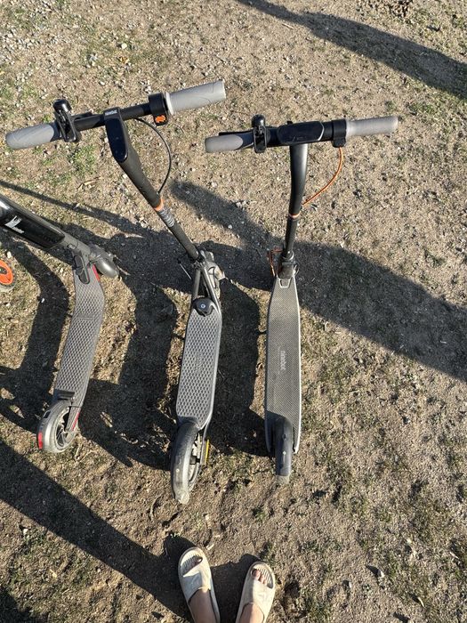 Самокаты ninebot koogo s3