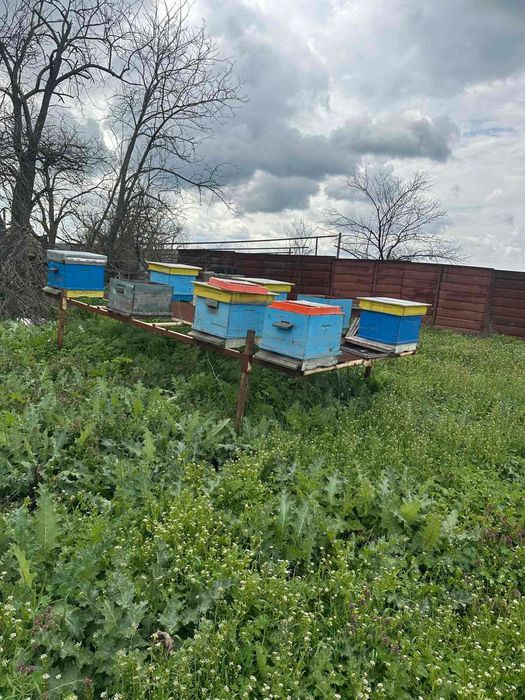 Пчеларски инвентар цена по договаряне