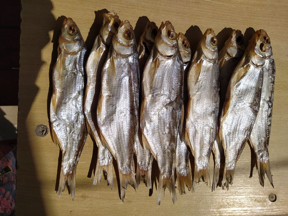 Вяленая рыба рыбец и вобла от 200 тенге за шт