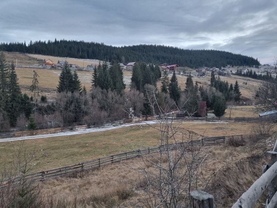 Teren de vanzare la munte langa vale poiana horea