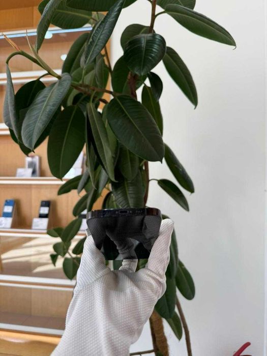 iPhone 14 Pro 1TB АКБ-87% Black (9231)