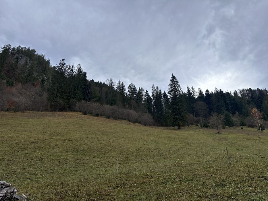 Vand cabana si teren 8ha