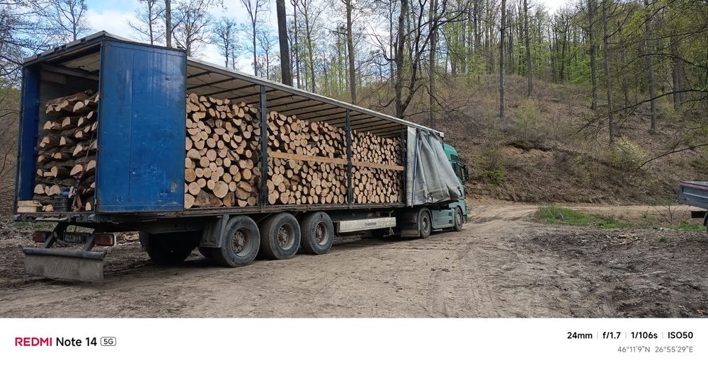 De vânzare lemn de foc stejar uscat!