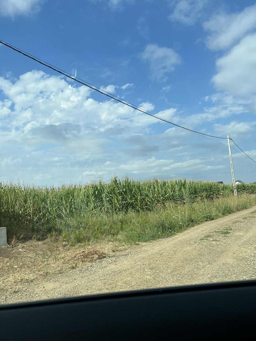 Teren construibil - zona Ovis Zone, Ipotești