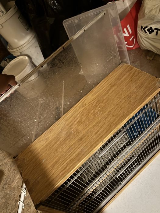 Voliera dubla expo pasari exotice