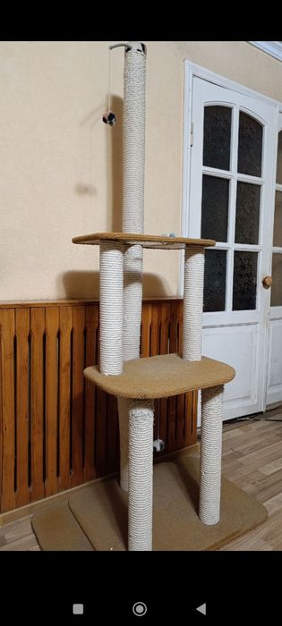 Домашняя стойка для кошек