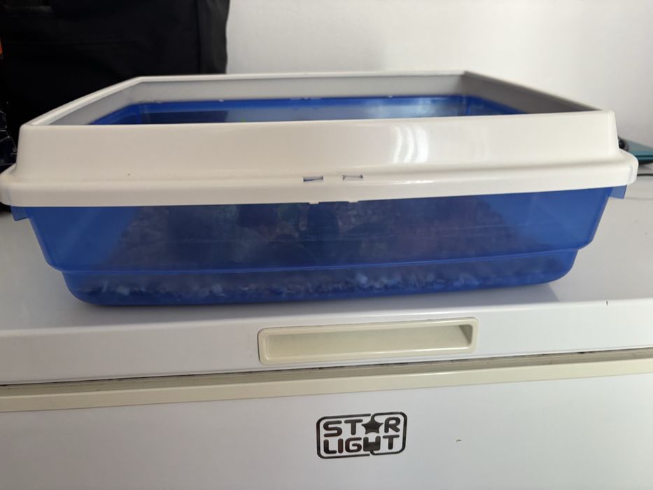 Terariu brasoca testoasa etc