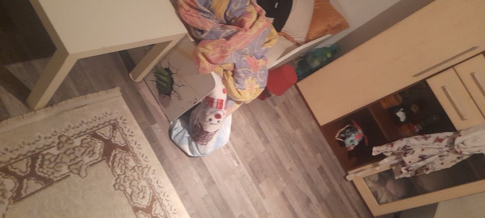 Debarasare orice fel de gunoi mobila apartamente în toate sectoarele