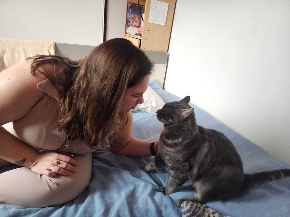 Pet sitter in București