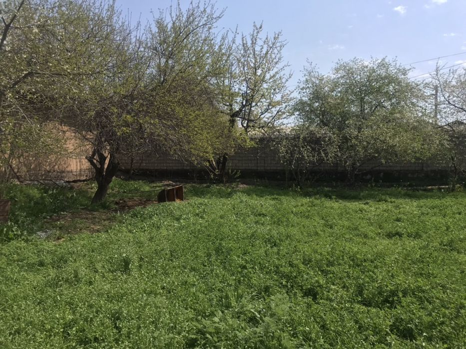 Telda gaplawamiza bekorchila bezota qmasn