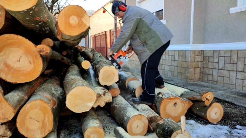 Обрезка спил деревя дарахт кесиш хизмати бензопила услуг daraxt kesish