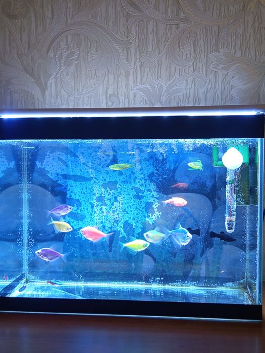 Аквариум 10 литров