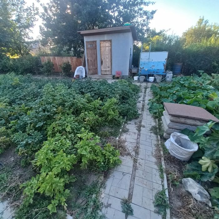 Продам дачу речпорт с/т Фаза