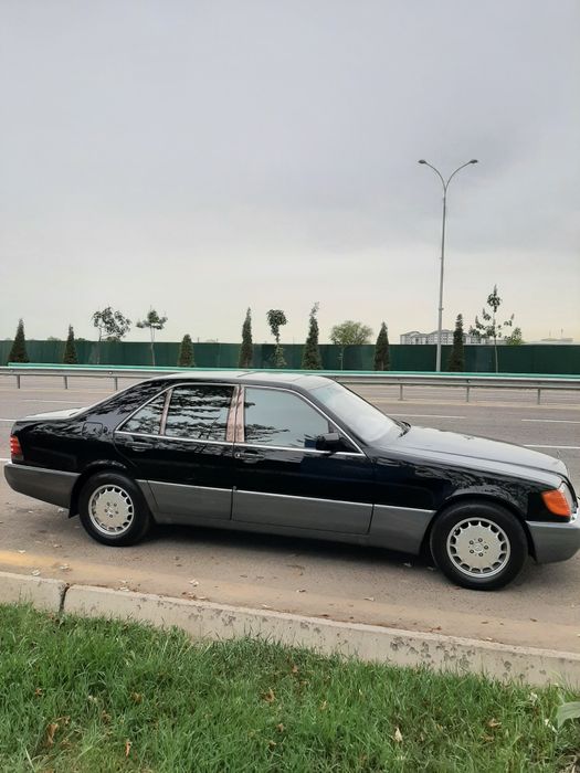 W140 shessoti mers