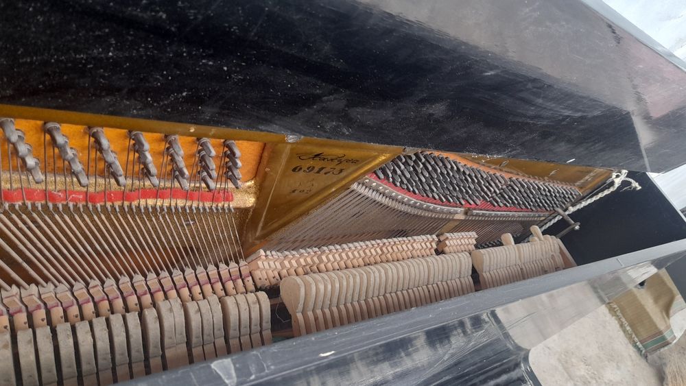 Fortepiano  holati rasimdagiday