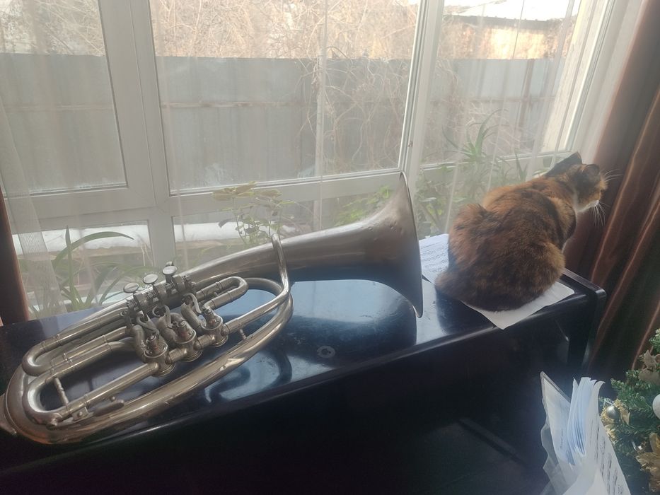 Духовая труба Альт продам