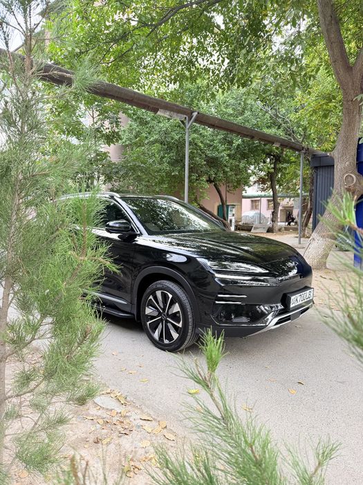 BYD chempion restaling 2024/605