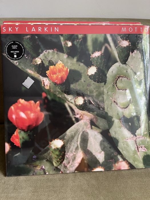 Vinyl indie rock & indie folk oferta