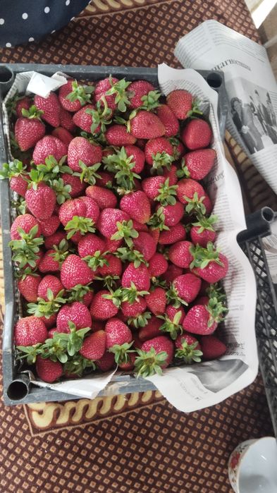 Продаже клубника читать