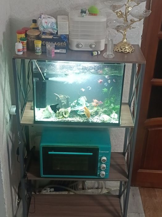 Аквариум Tetra 80 л