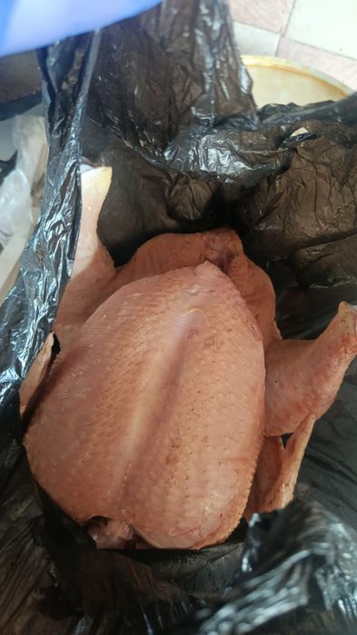 Домашний бролер.мясо