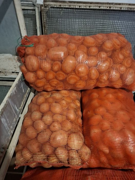 Продам картофель домашний