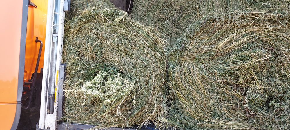 Baloți de fân,dreptunghiular,rotund! Baloți de lucernă!