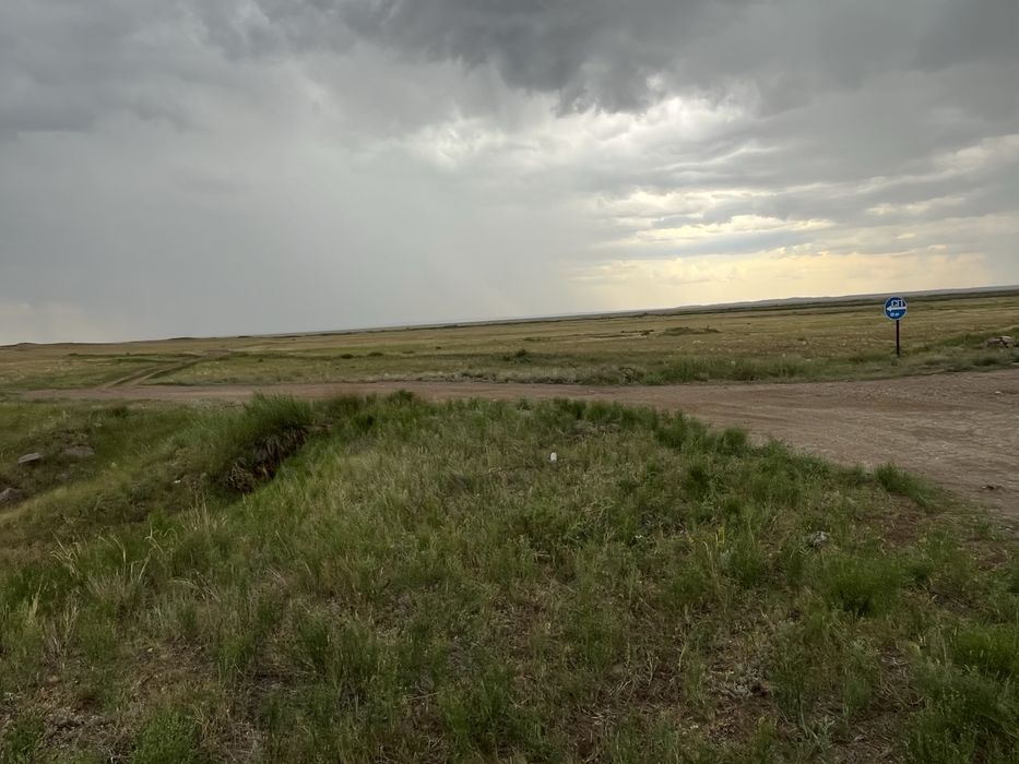 Земля пазбиша 455.га село сарепта