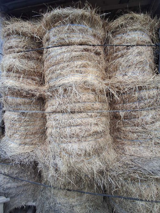 Baloti de fan-de pe ses