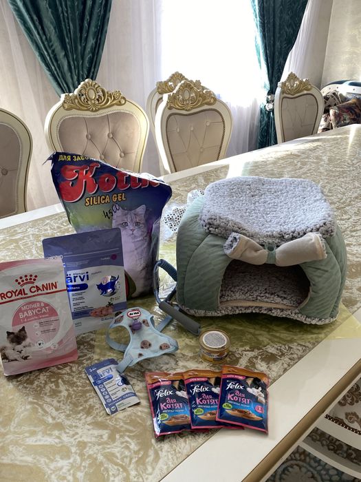 Продам набор для котенка