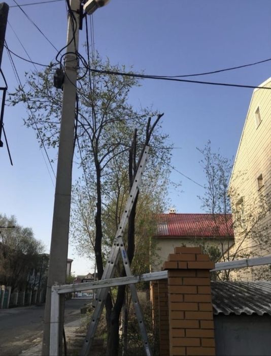 Обрезка деревьев в Атырау.