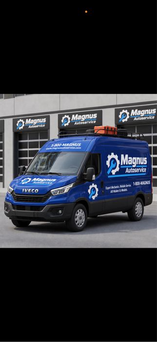 Reparatii aututilitare  iveco daily ,Renault master , mercedes , viano , v-class