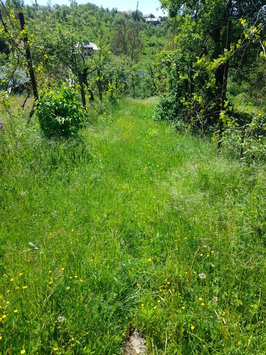 Casă din cărămidă. locuibilă. Ocnița, jud.Dâmbovița.