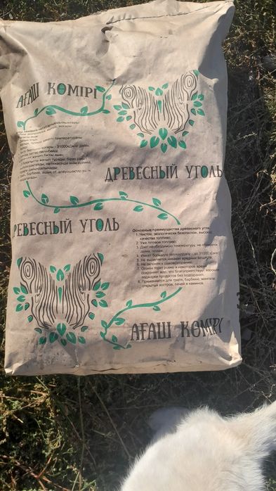 EcoUqol — табиғи ағаш көмірі