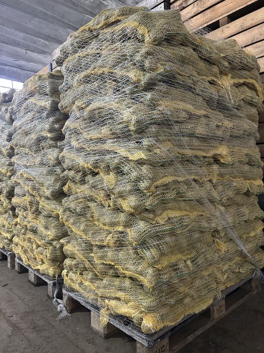 Cartofi de consum producție 2025  calitatea I 55+