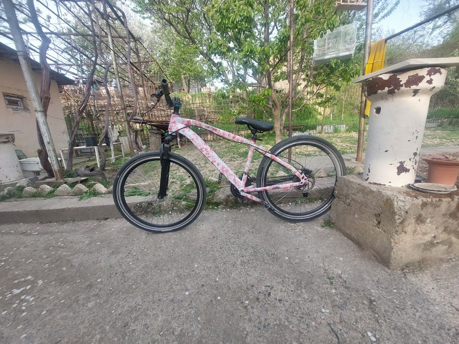 Бразильский дерт-Mtb