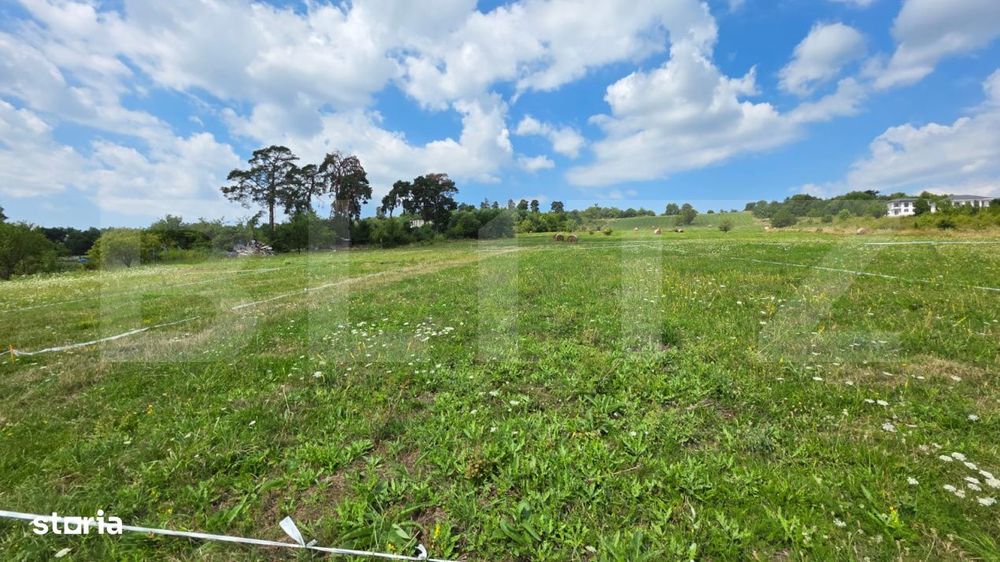 Parcela 50.000 mp – zona Tarpiului
